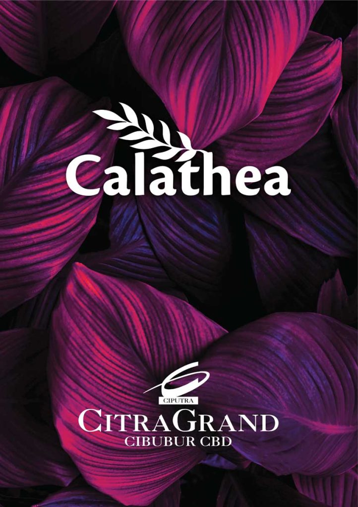cluster-calathea
